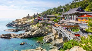 CT-the-beauty-of-seasons-south-korea-1
